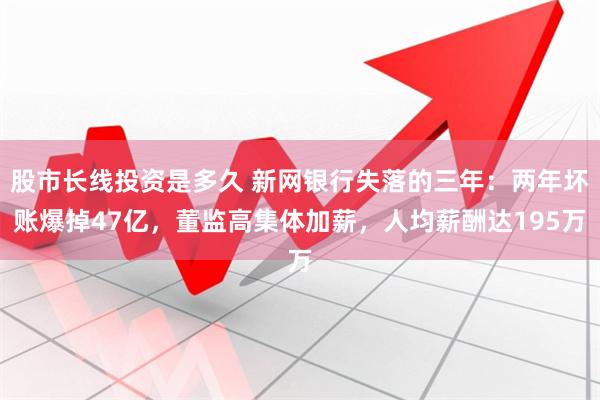 股市长线投资是多久 新网银行失落的三年：两年坏账爆掉47亿，董监高集体加薪，人均薪酬达195万