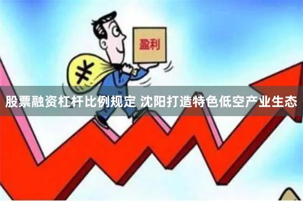 股票融资杠杆比例规定 沈阳打造特色低空产业生态