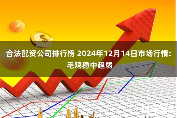 合法配资公司排行榜 2024年12月14日市场行情: 毛鸡稳